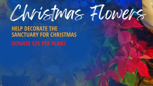 Christmas Flowers 2024_donate slide