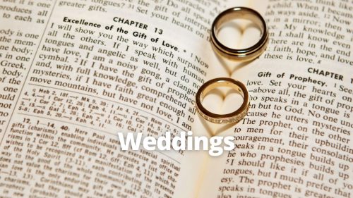 Weddings 2024_web (2)